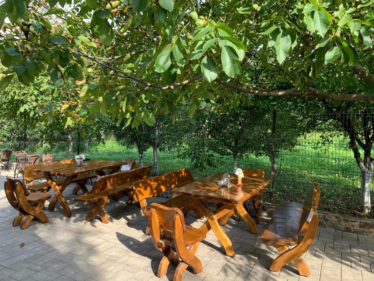 Hanu Lui Gica Spa Satu Mare Bagian luar foto