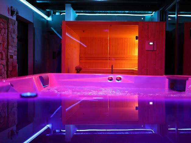 Hanu Lui Gica Spa Satu Mare Bagian luar foto