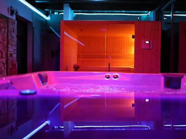 Hanu Lui Gica Spa Satu Mare Bagian luar foto