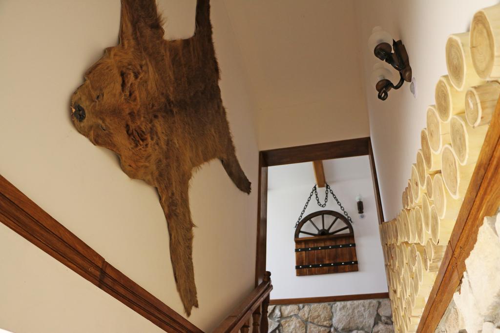 Hanu Lui Gica Spa Satu Mare Bagian luar foto