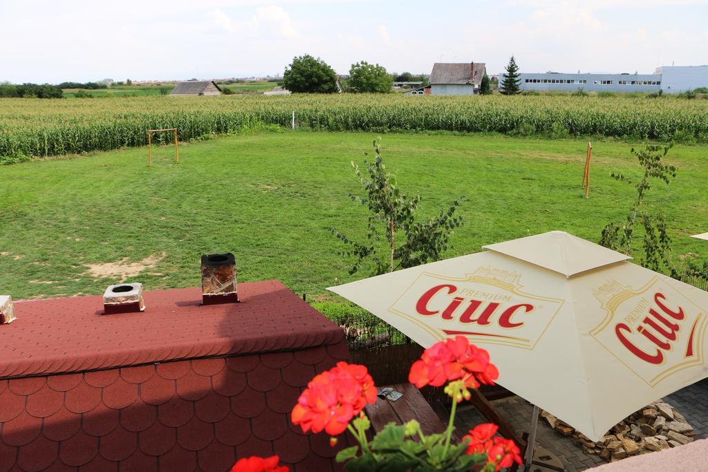 Hanu Lui Gica Spa Satu Mare Bagian luar foto