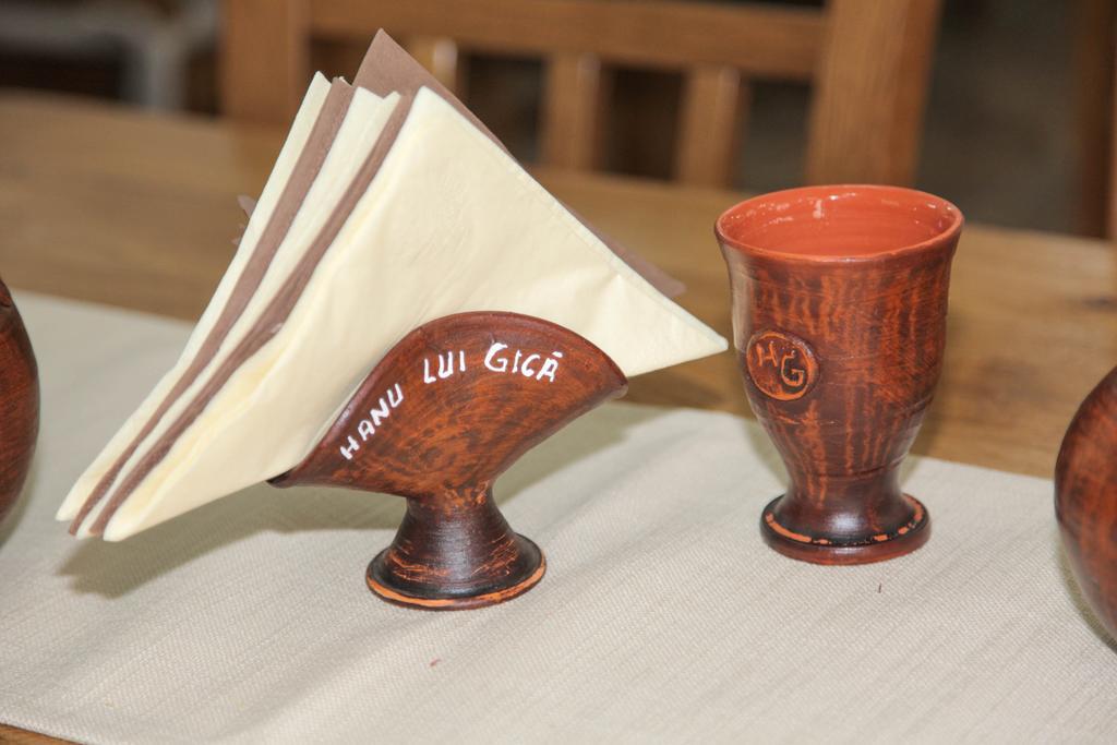 Hanu Lui Gica Spa Satu Mare Bagian luar foto